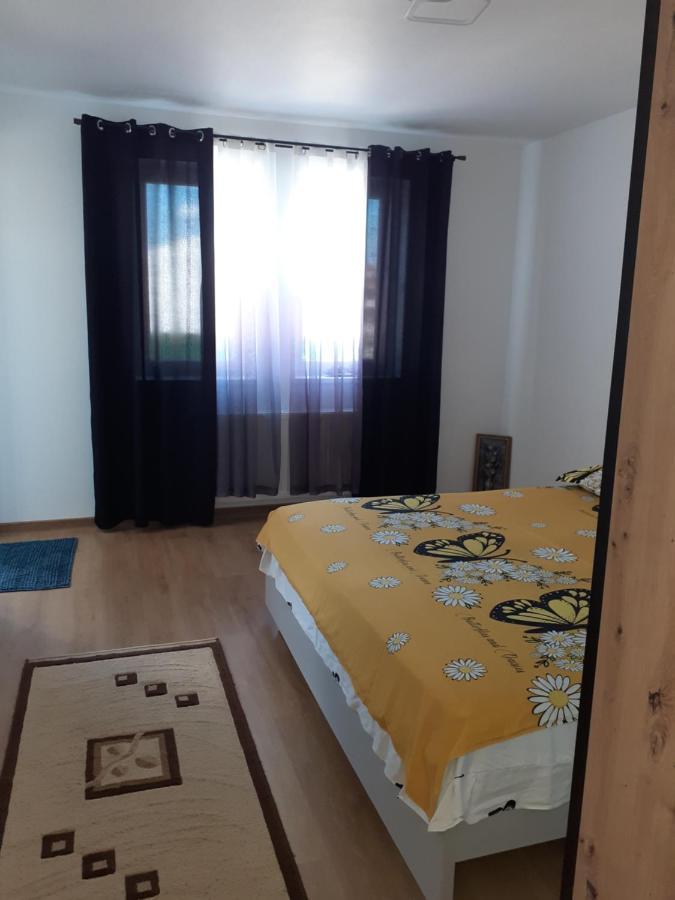 锡比乌Casa Dana公寓 外观 照片